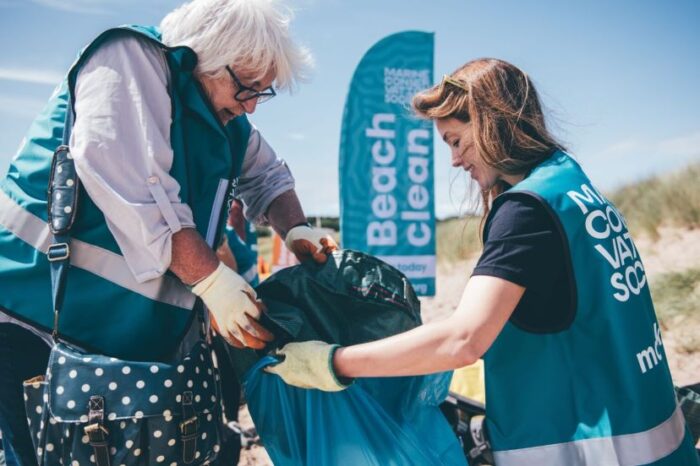 People in Beach Clean