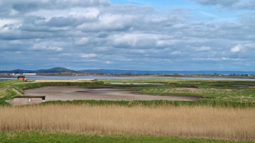 Bridgwater Bay Nature Reserve at Stert Point