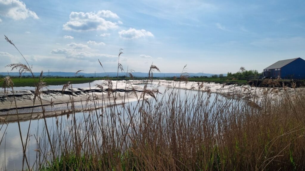 Bridgwater River Parrett