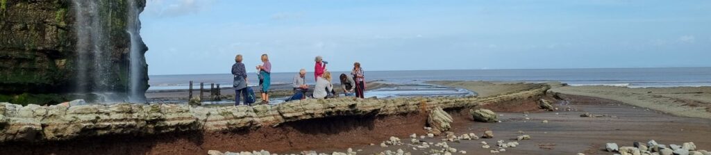 Coast Path at St Audries Waterfall