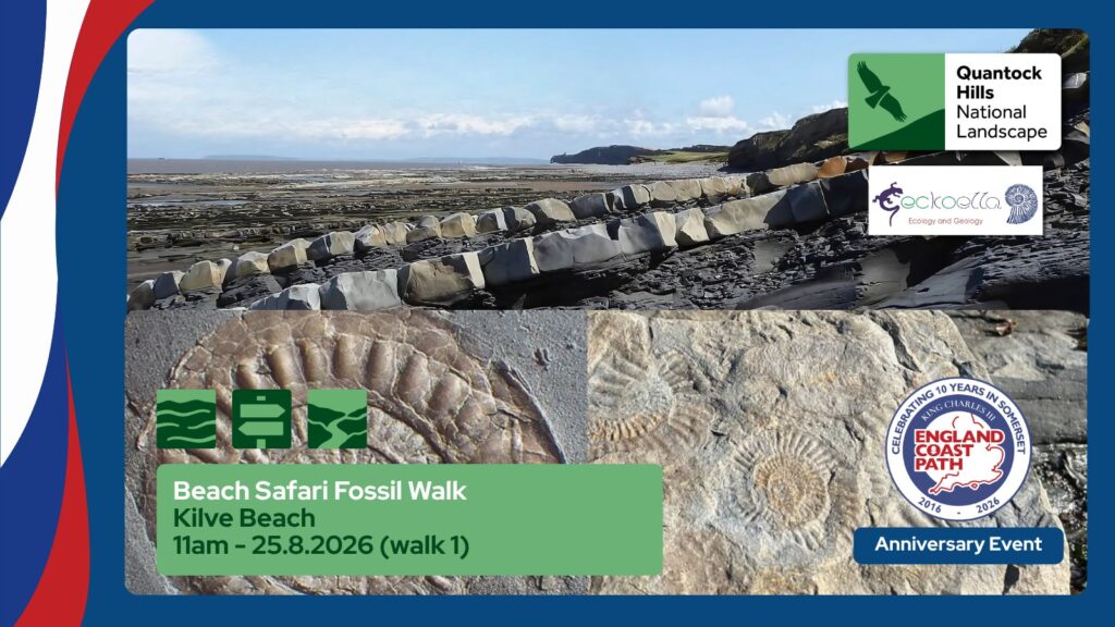 Kilve Beach Fossil Walk - morning