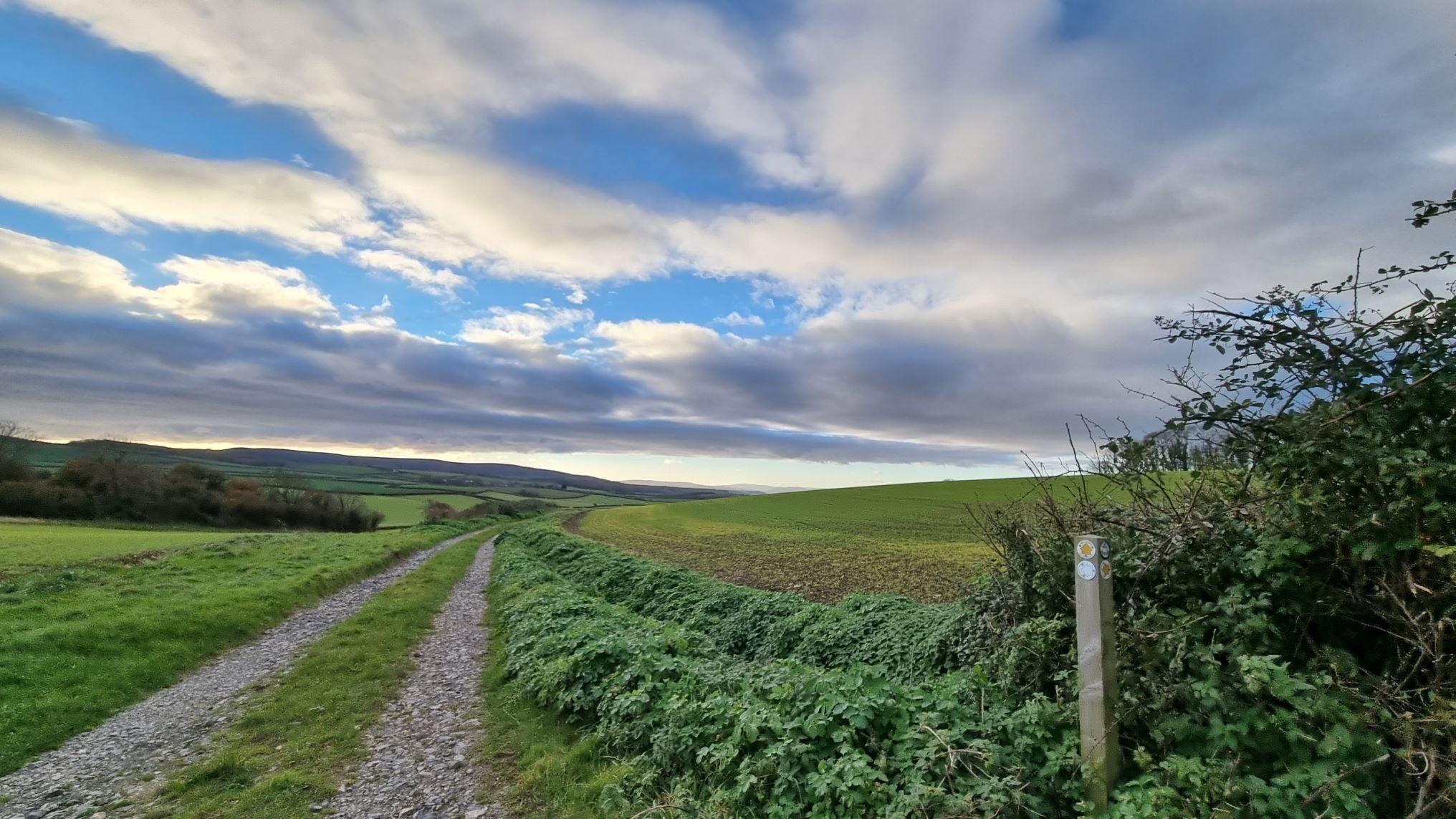 Old Carriage Road on Fairfield Estate at Lilstock