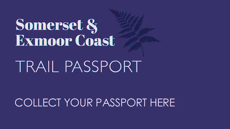 Passport Collection image