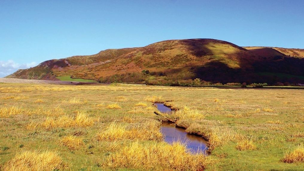 View of Porlock Marsh