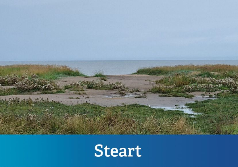 Steart