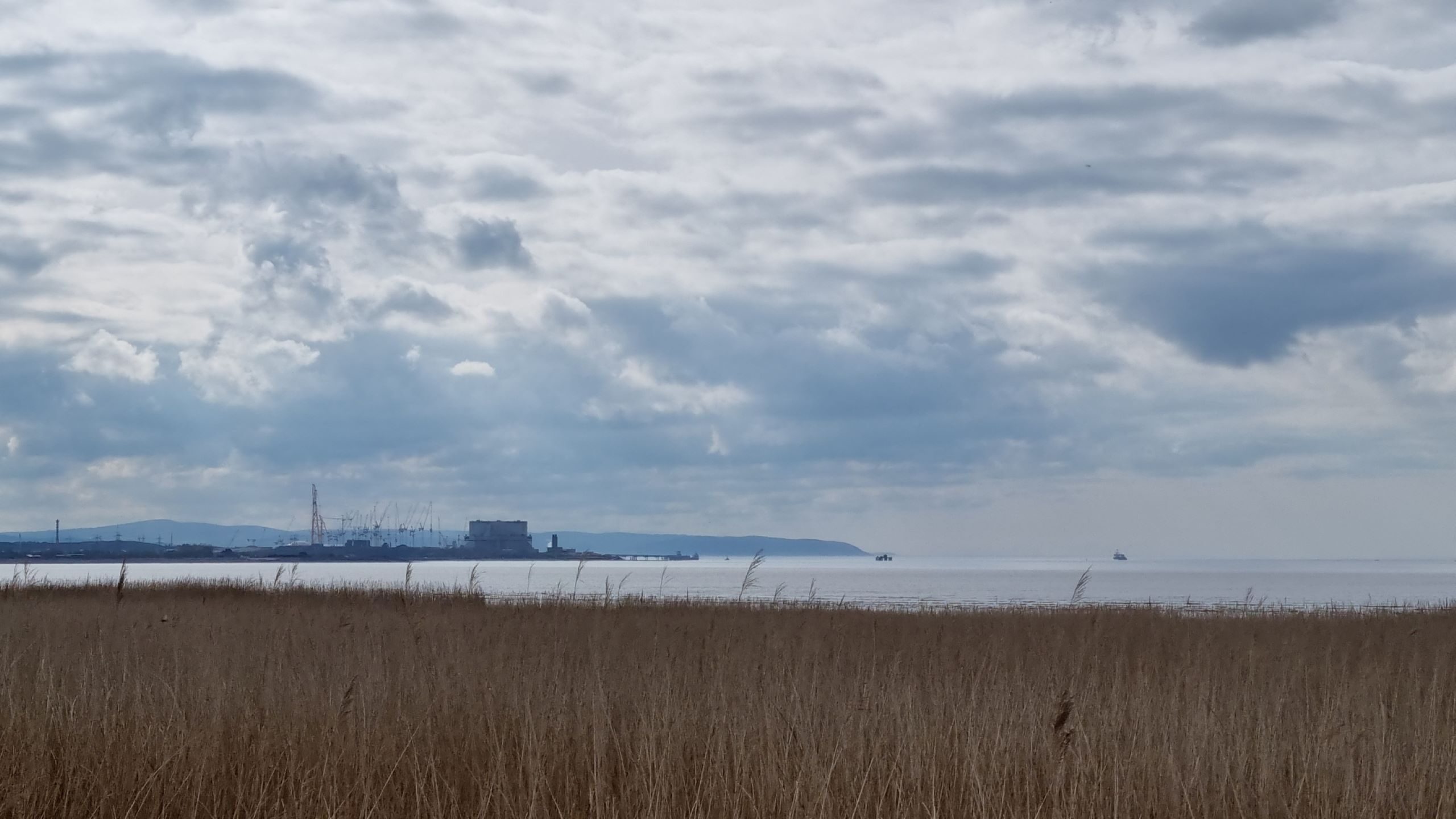 View of Hinkley Point from Steart Marshes