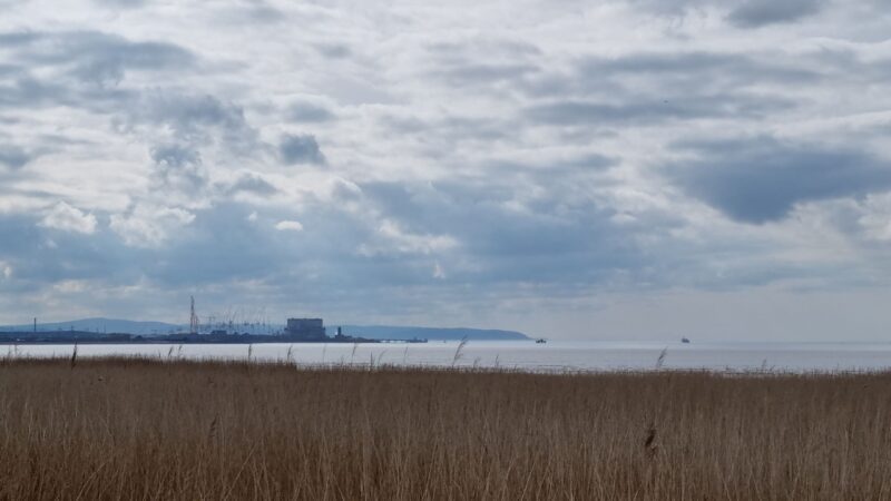 View of Hinkley Point from Steart Marshes