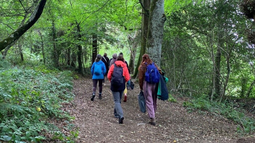 Walkers in woodland