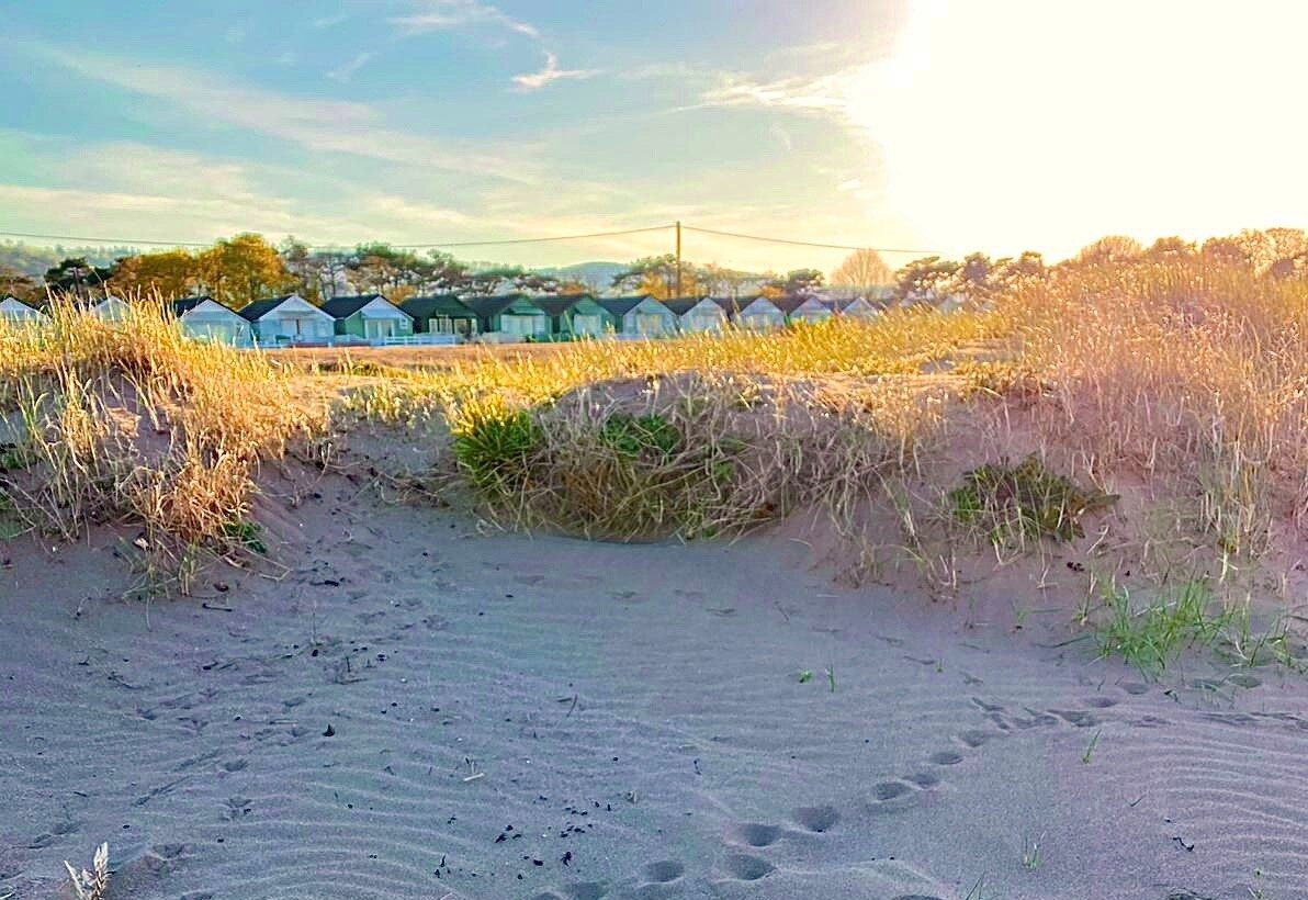 Dunster beach chalets