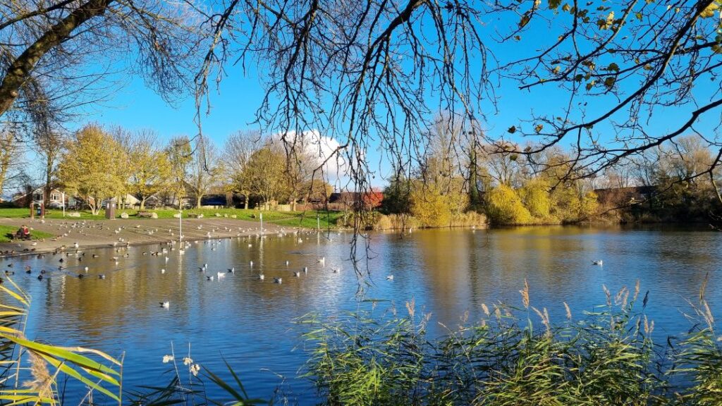 Apex Park lake in Highbridge